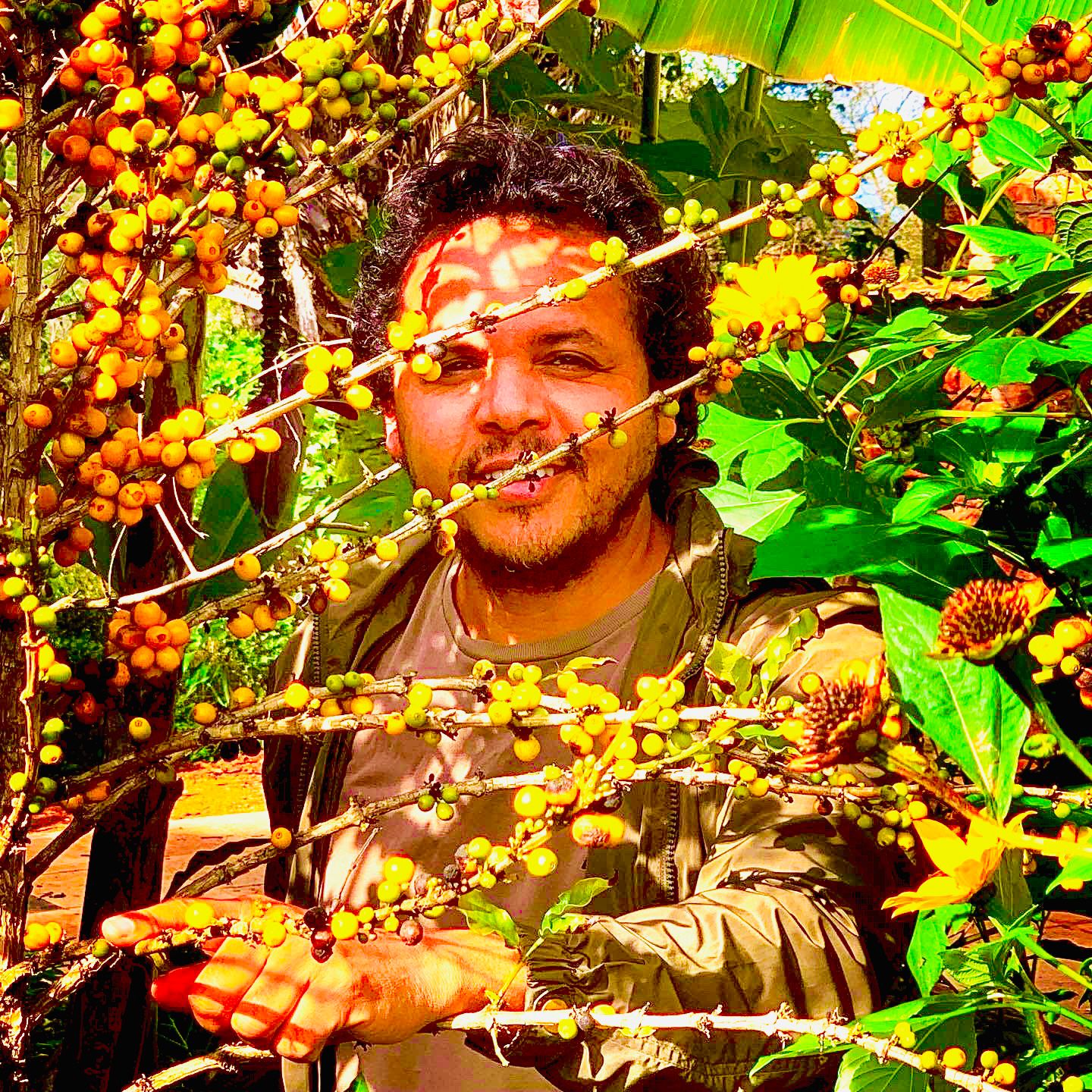 Café do Jura